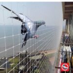 About whatsapp image 2025 12 12 at 12.56.26 ee828c71