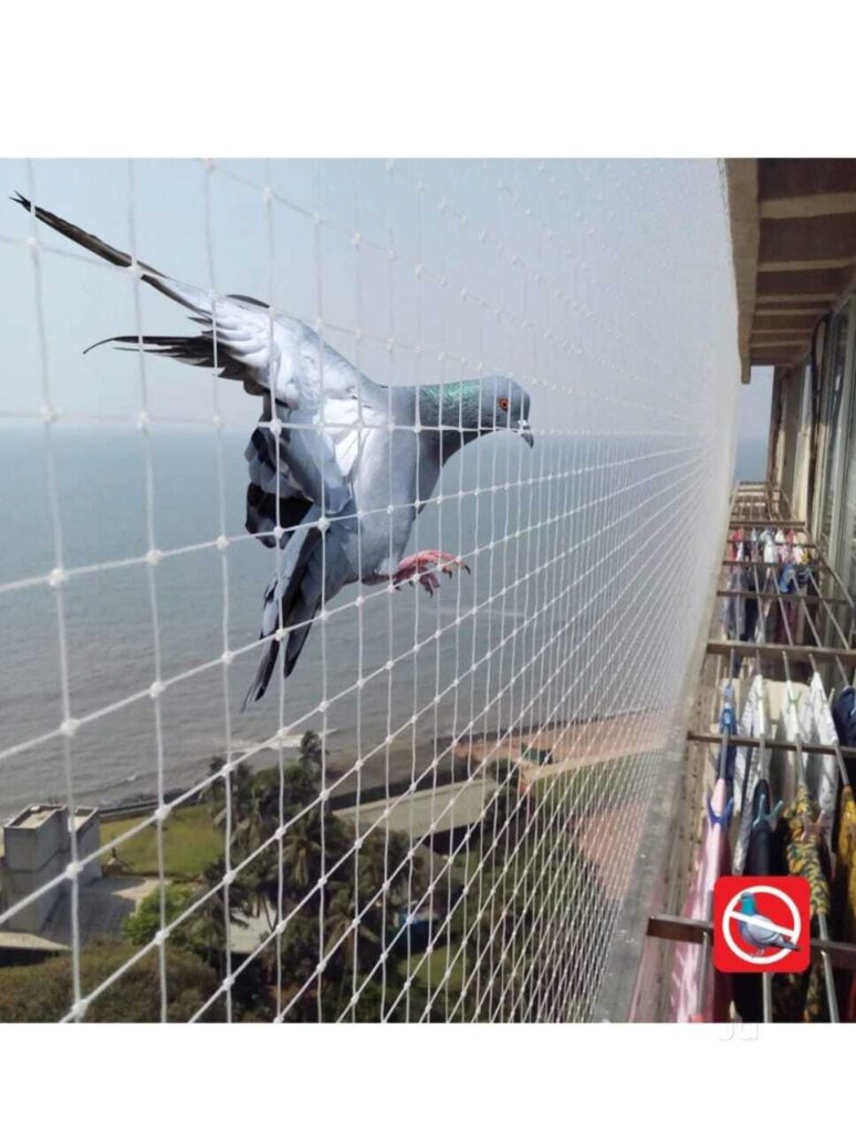 whatsapp image 2025 12 12 at 12.56.26 ee828c71