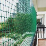 About image search 1752572904633